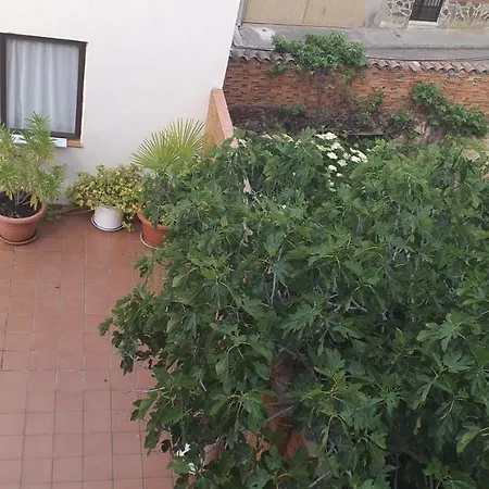 Biblioteca Municipal